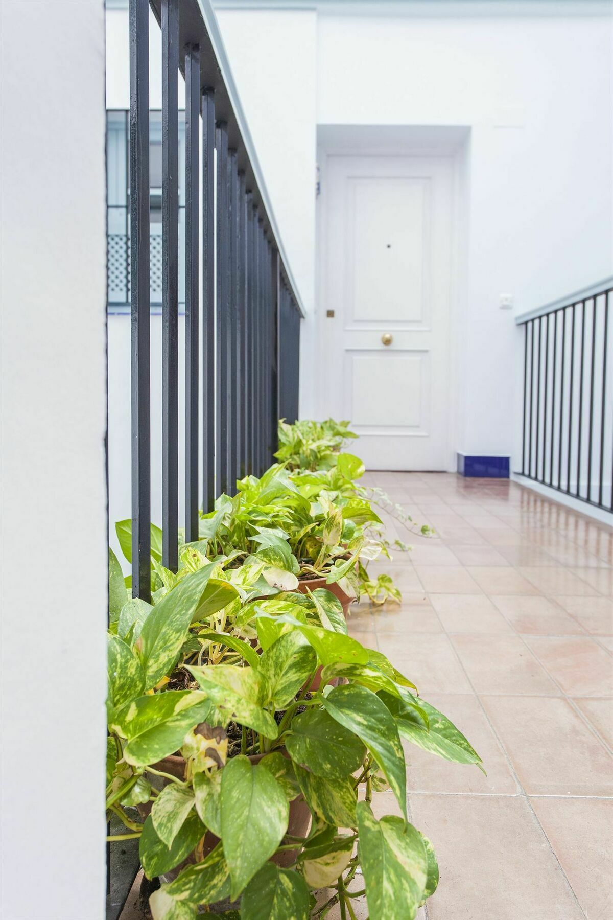 Santa Cruz Apartment 세비야 외부 사진